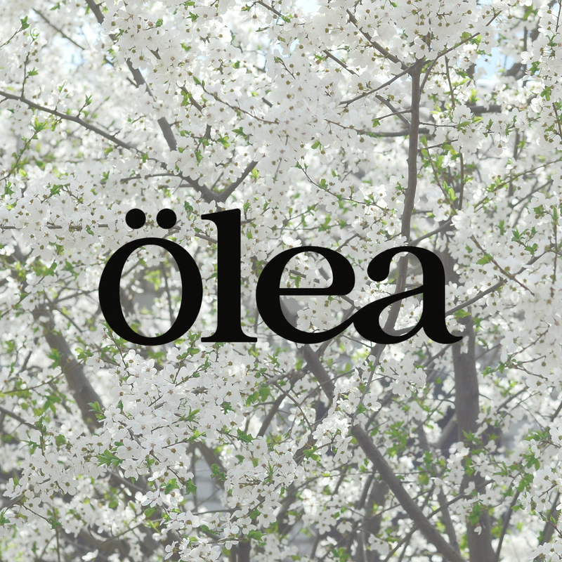 Ölea